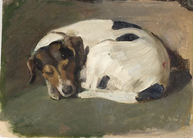 Cane addormentato - Art Museum of Estonia's painting collection, Tallinn
